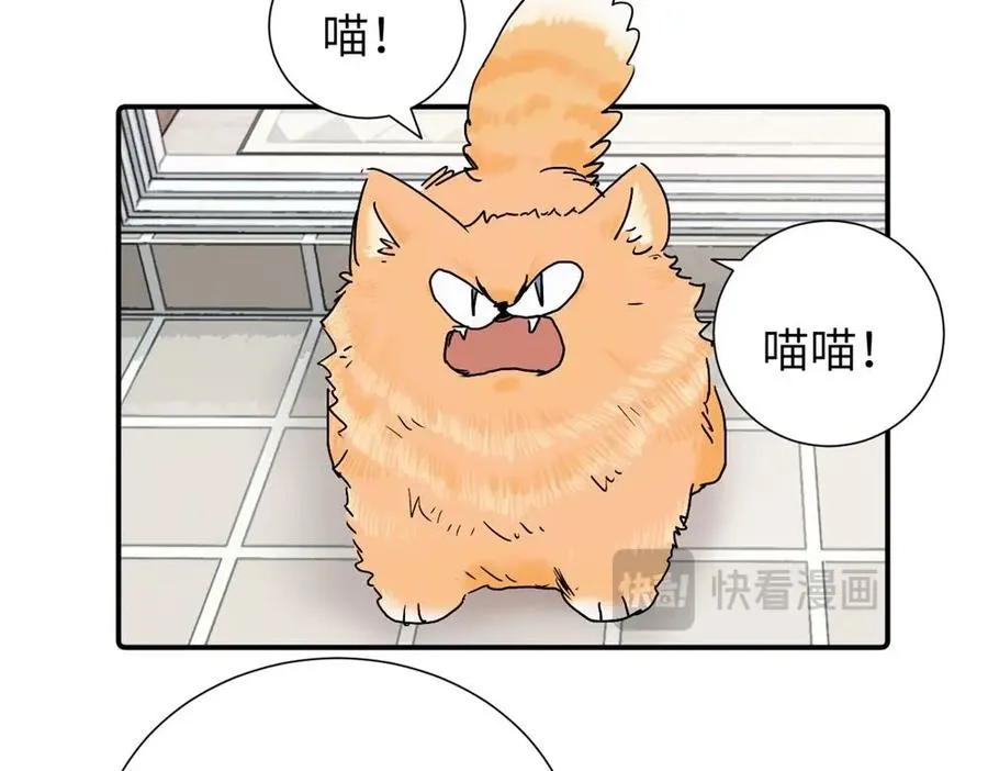 第三十六话 上司的职责 第11页