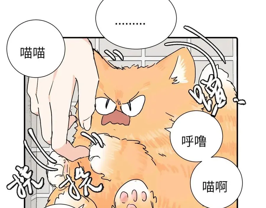 第三十六话 上司的职责 第20页