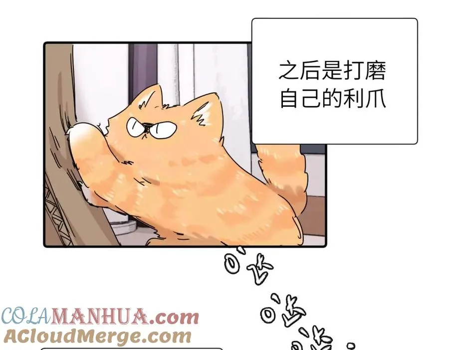 第三十八话 勉强 第10页