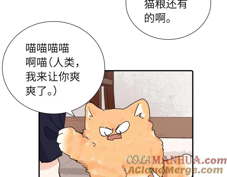 第三十八话 勉强 第13页