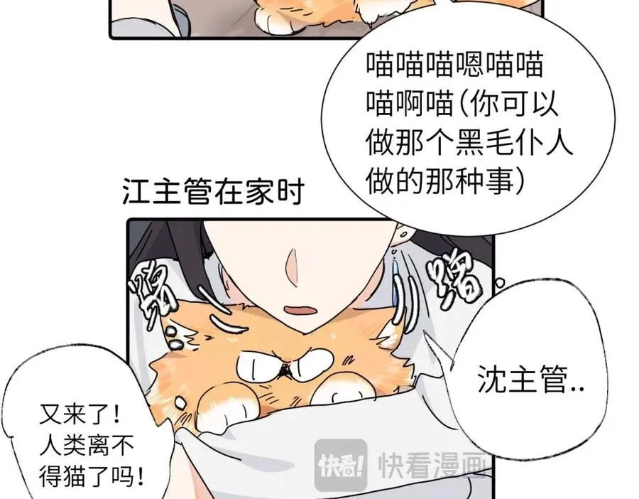 第三十八话 勉强 第14页