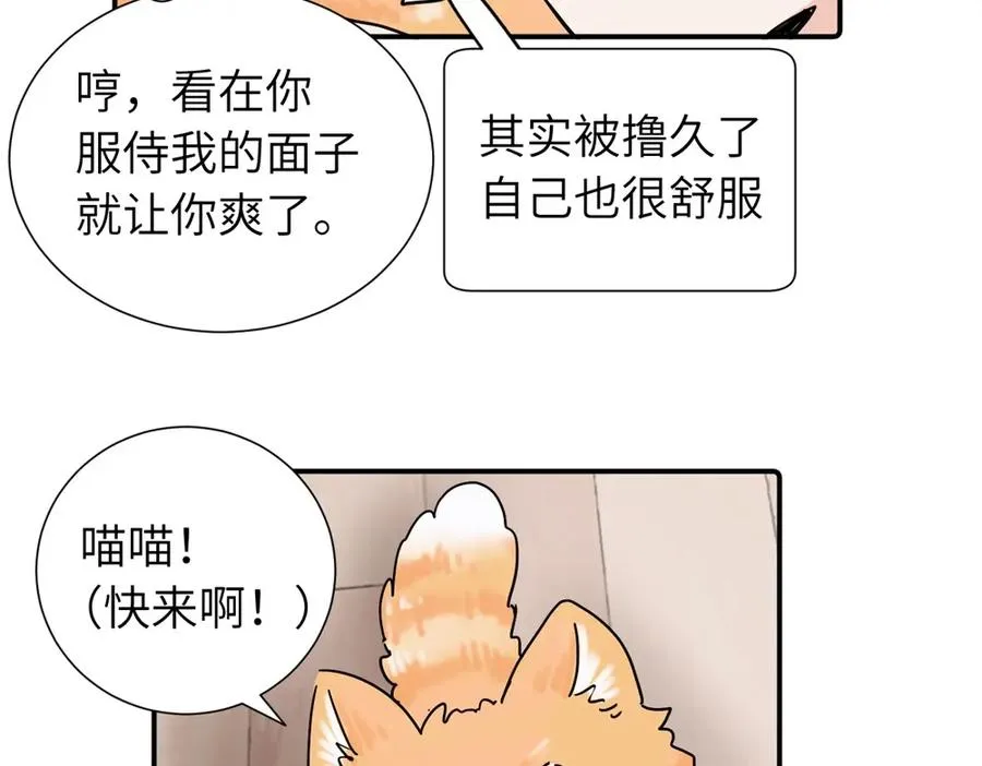 第三十八话 勉强 第17页