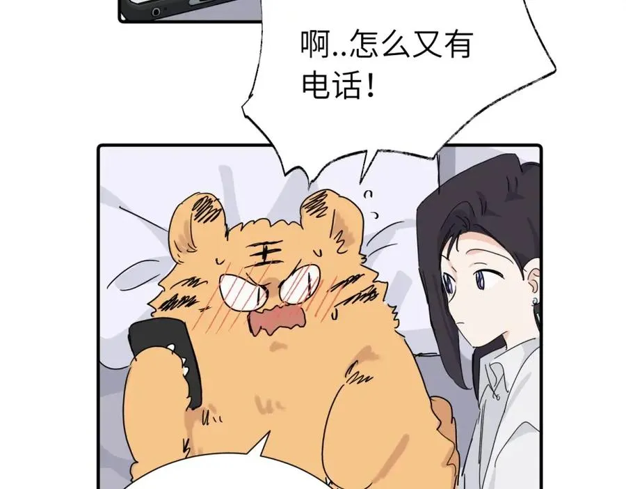 第四十话 项目的结束 第50页