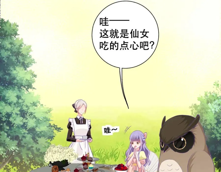 第18话 树洞猫头鹰 第5页