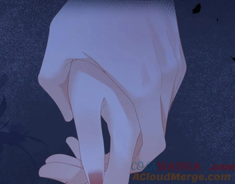 第66话 被爱滋养的玫瑰 第97页