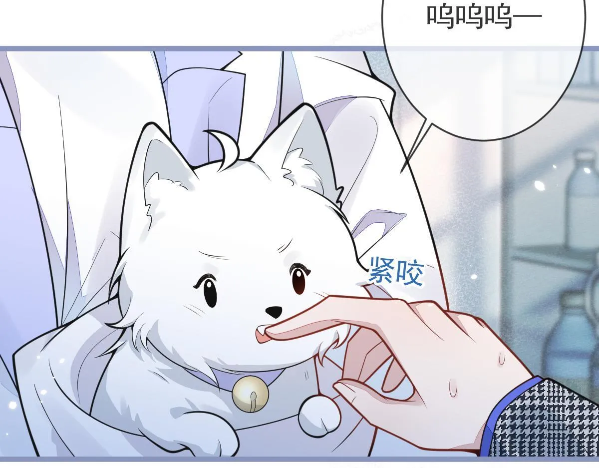 5-球球不可以！ 第10页