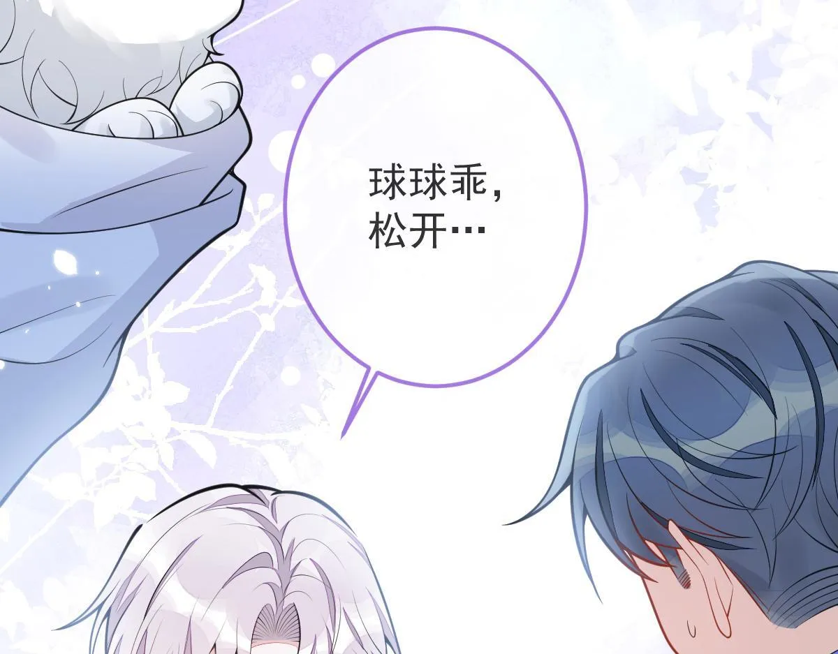 5-球球不可以！ 第15页