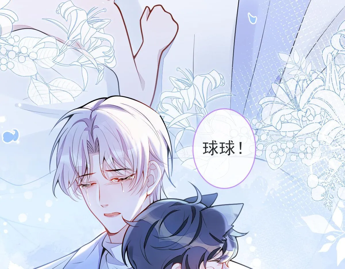 5-球球不可以！ 第48页