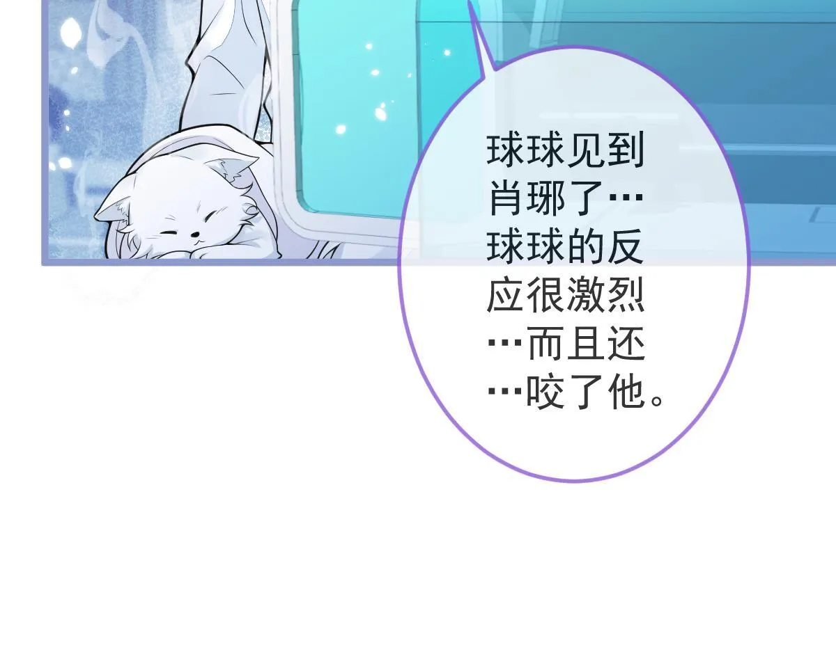 5-球球不可以！ 第54页