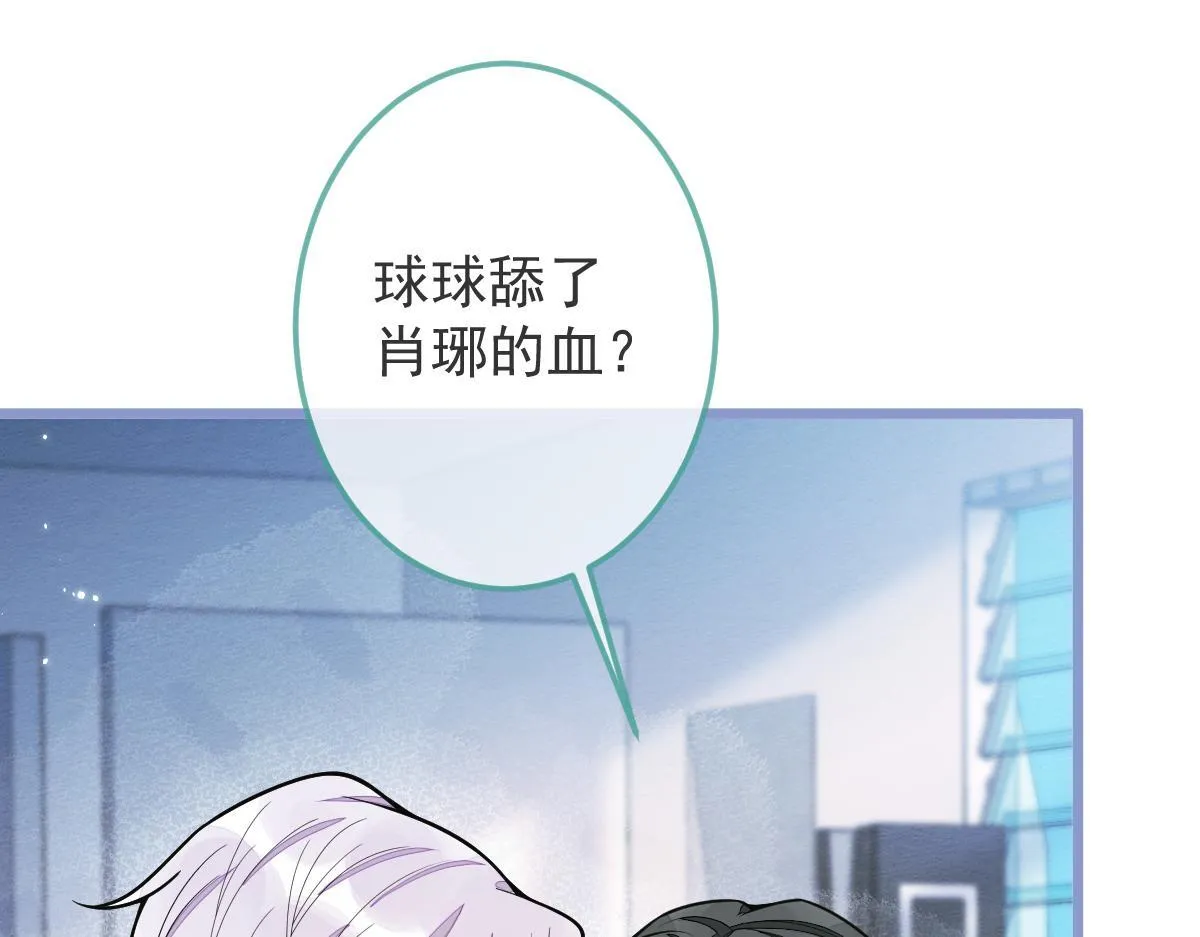 5-球球不可以！ 第55页