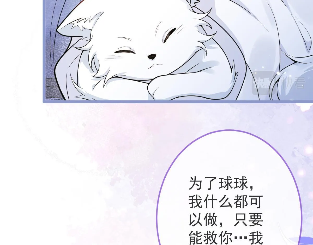 5-球球不可以！ 第66页