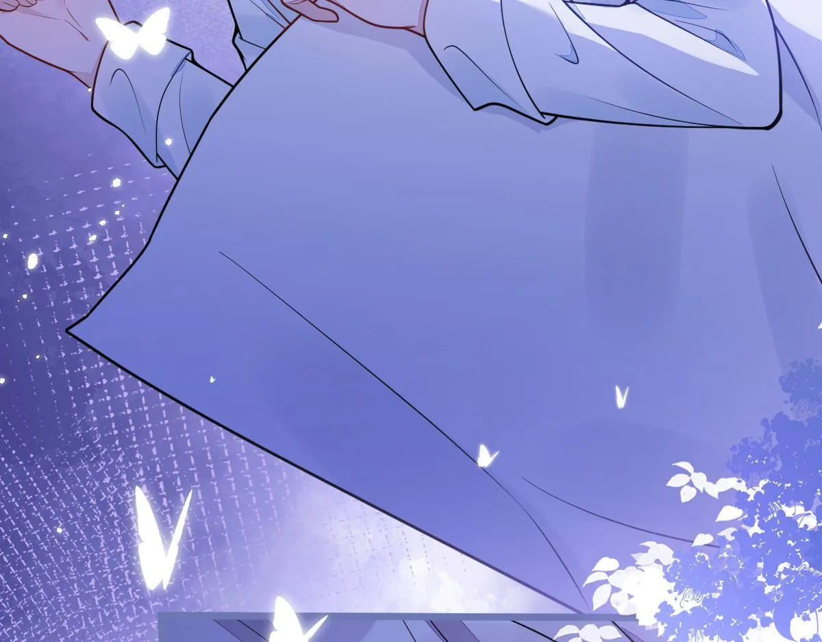 12-花孔雀。 第41页