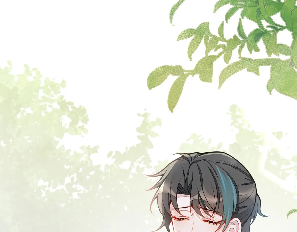 27-车祸前的记忆。 第7页