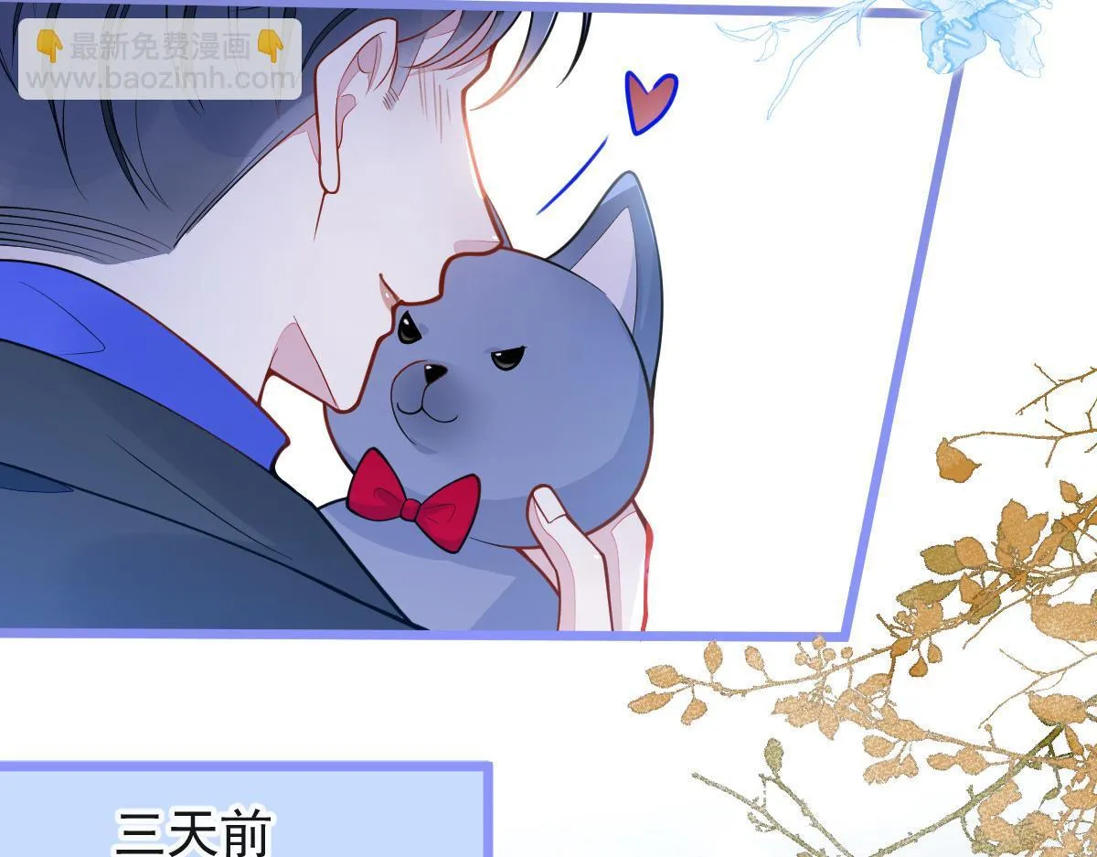 53-追qi火葬场开始 第13页
