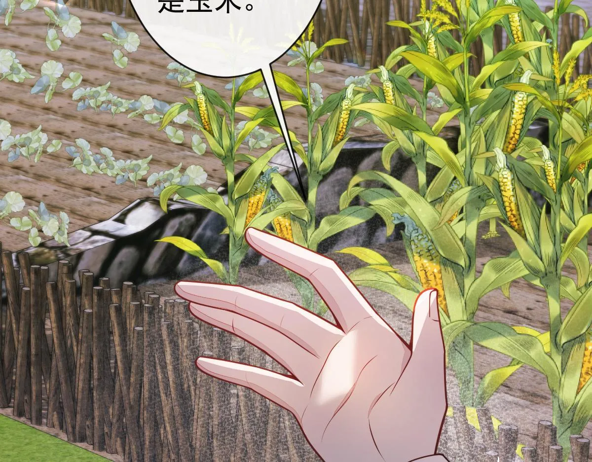 62-过往 第33页