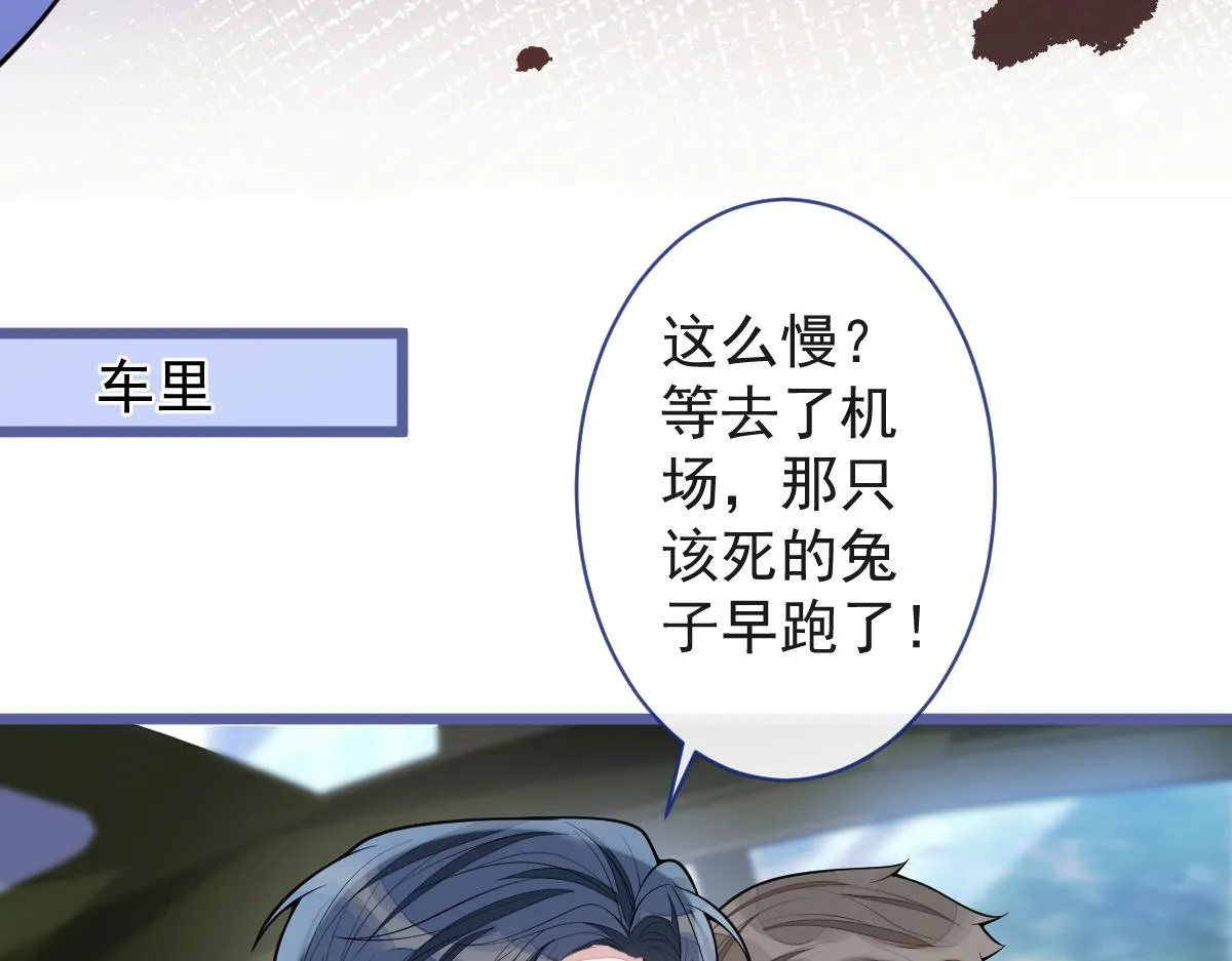 67-球球失踪！ 第16页