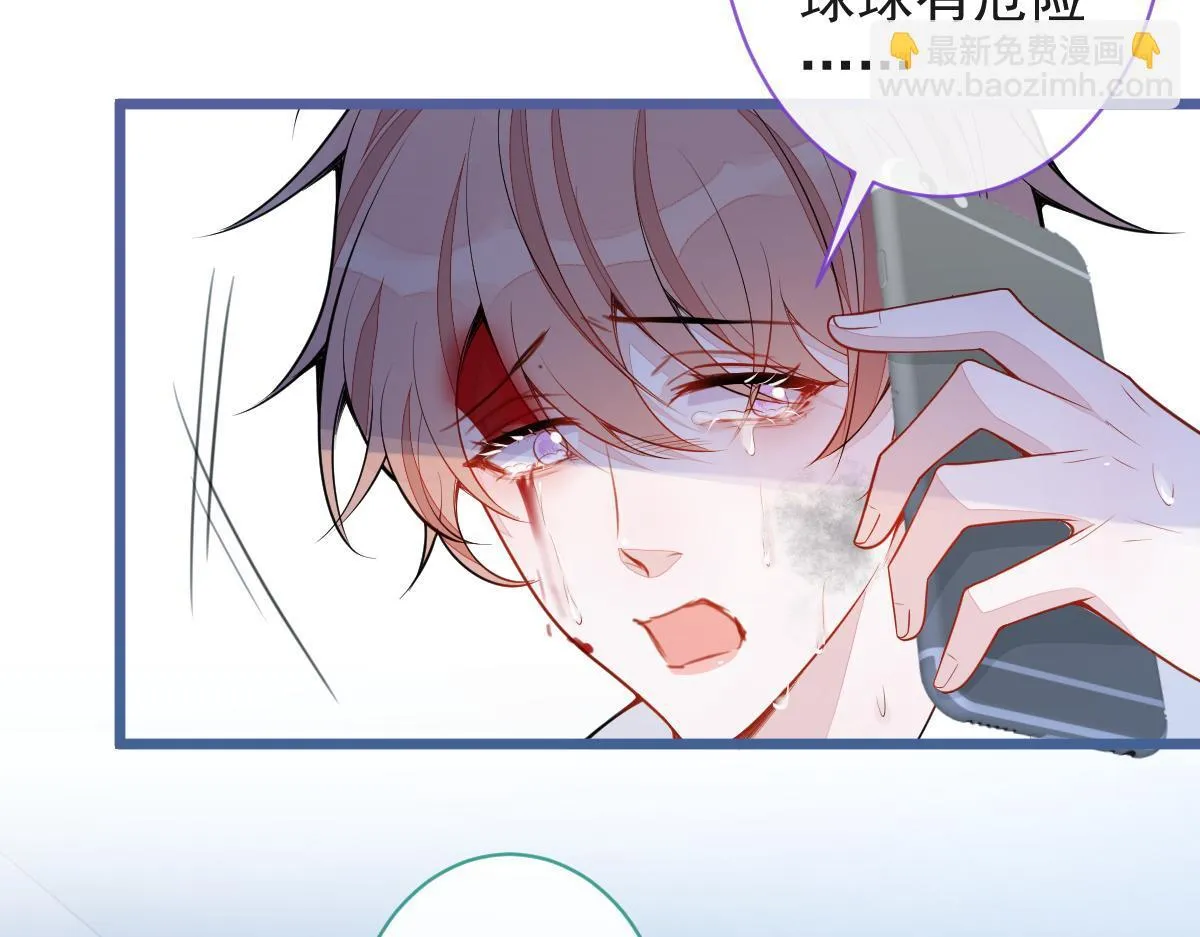 67-球球失踪！ 第21页
