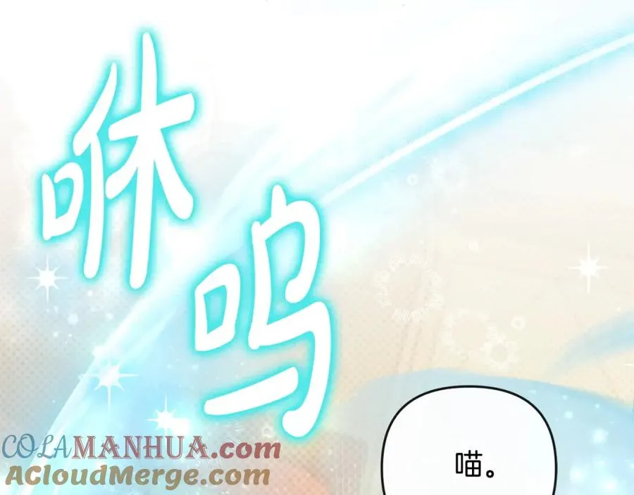第22话 魔法师求贴贴 第61页