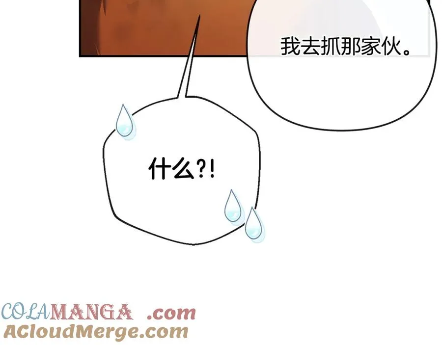 第51话 分头解决 第21页