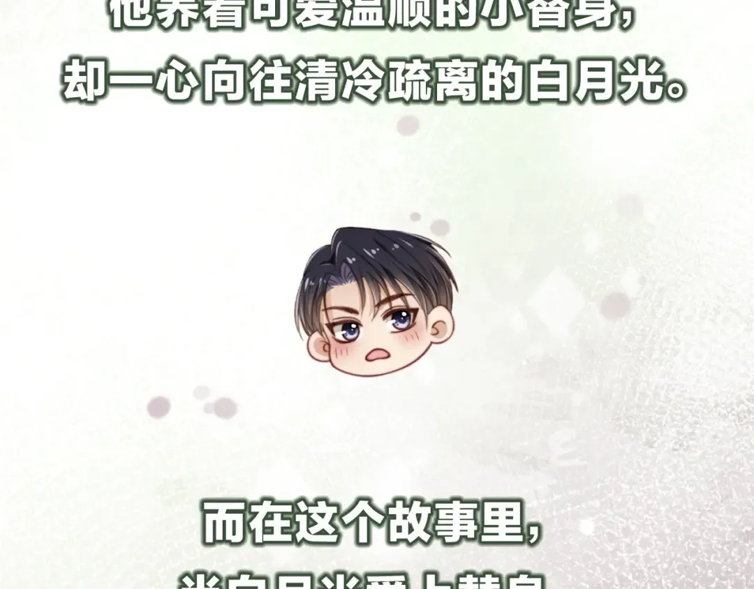 序章 当白月光爱上替身 第58页