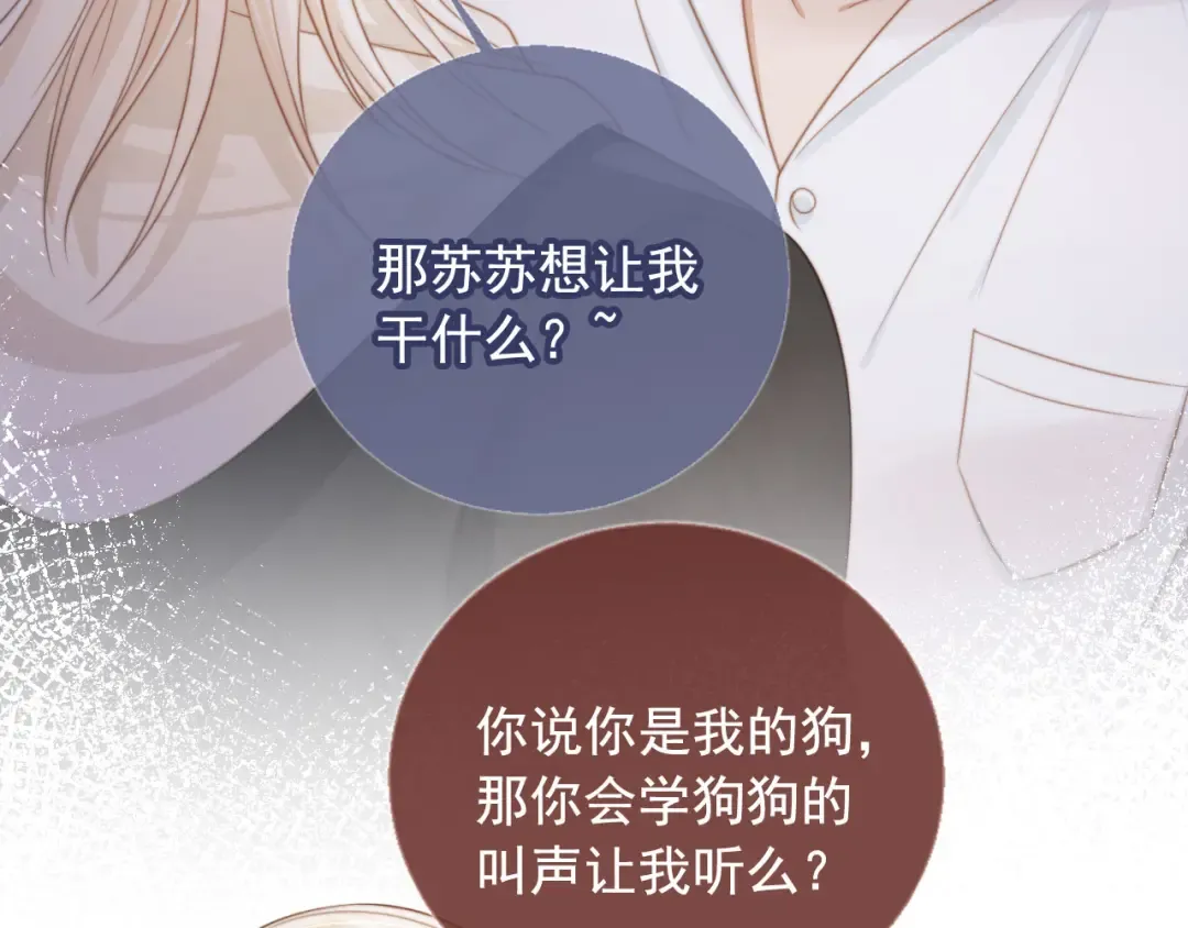 第30话 玫瑰花盛开的夜晚 第19页