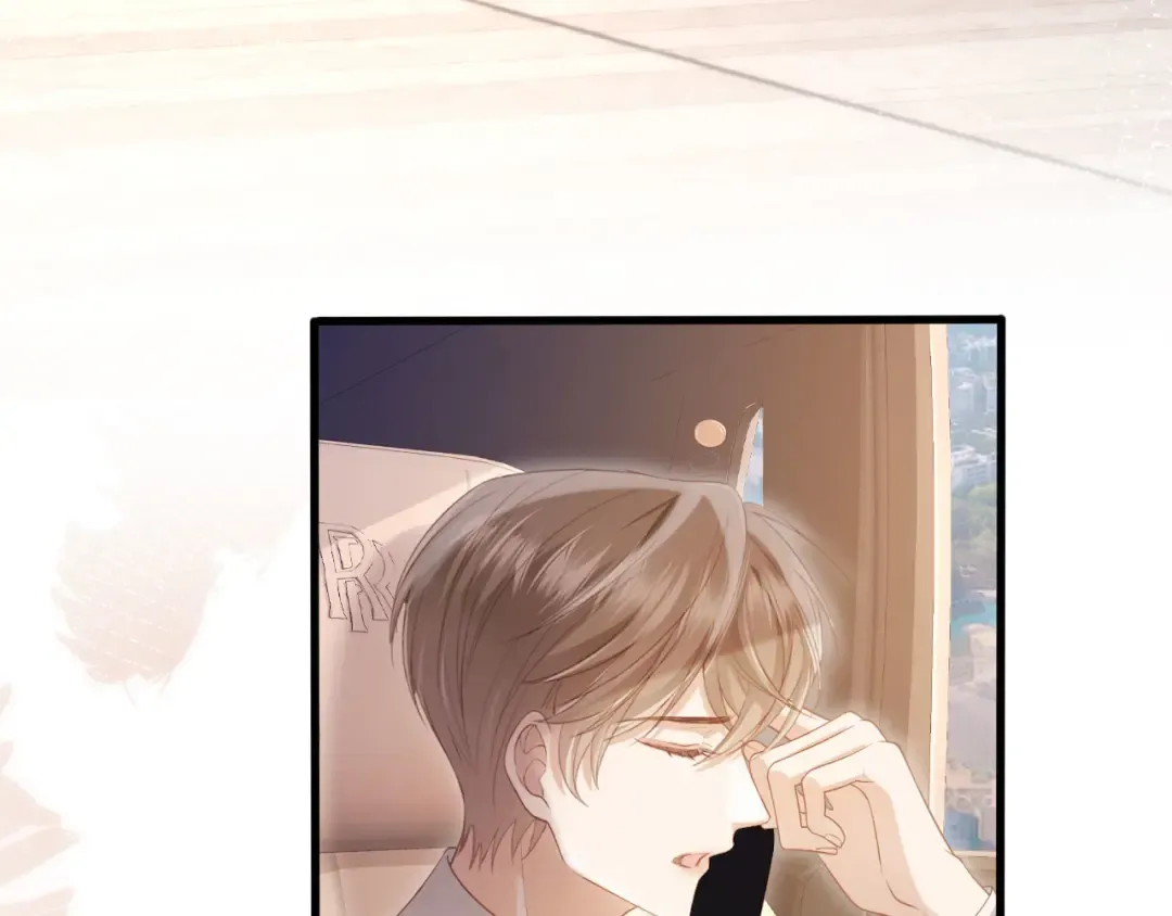 第102话 陆家真正的小少爷 第31页
