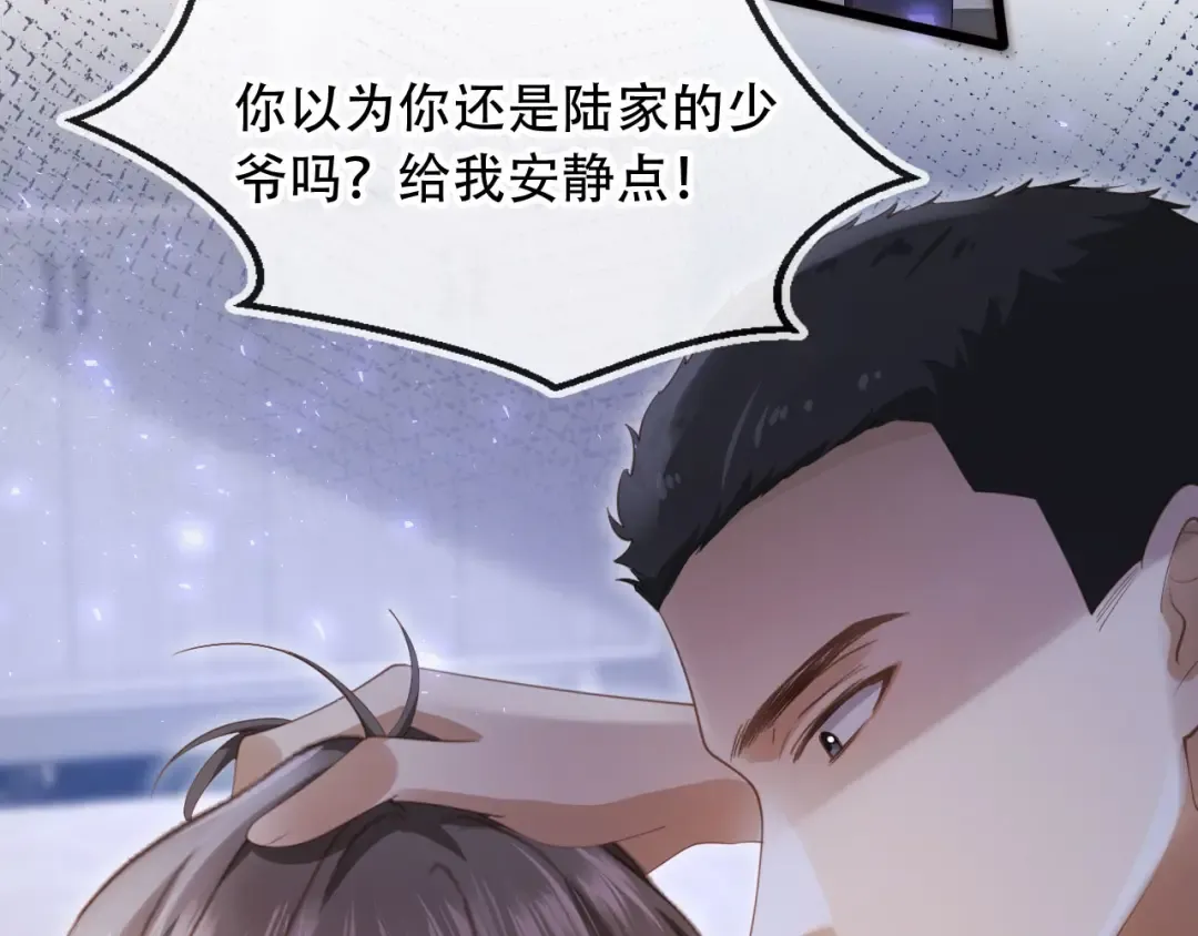 第102话 陆家真正的小少爷 第78页