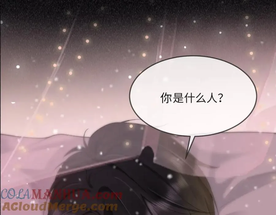 预热：冷漠多金千亿总裁X替嫁小女佣 第11页