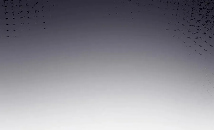 第81话 影后瓷瓷 第95页