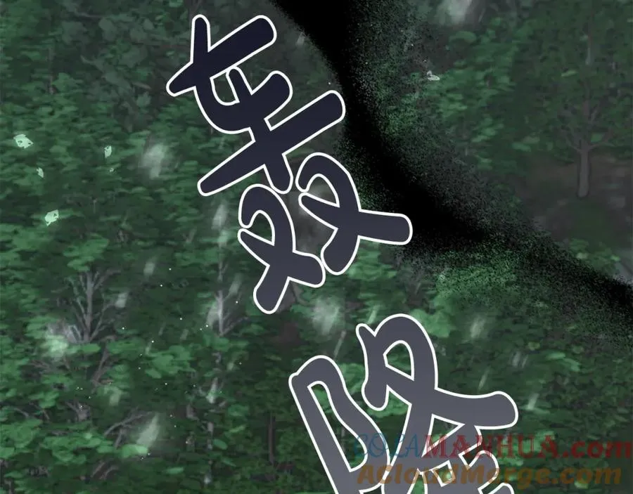 第44话 我只盯着你 第197页