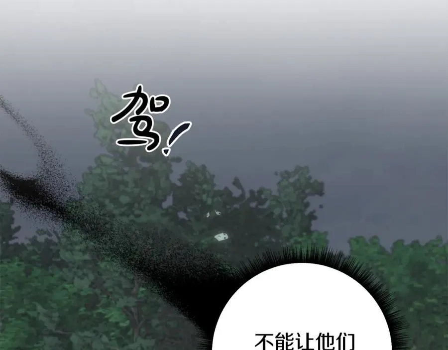 第45话 扫清障碍 第38页