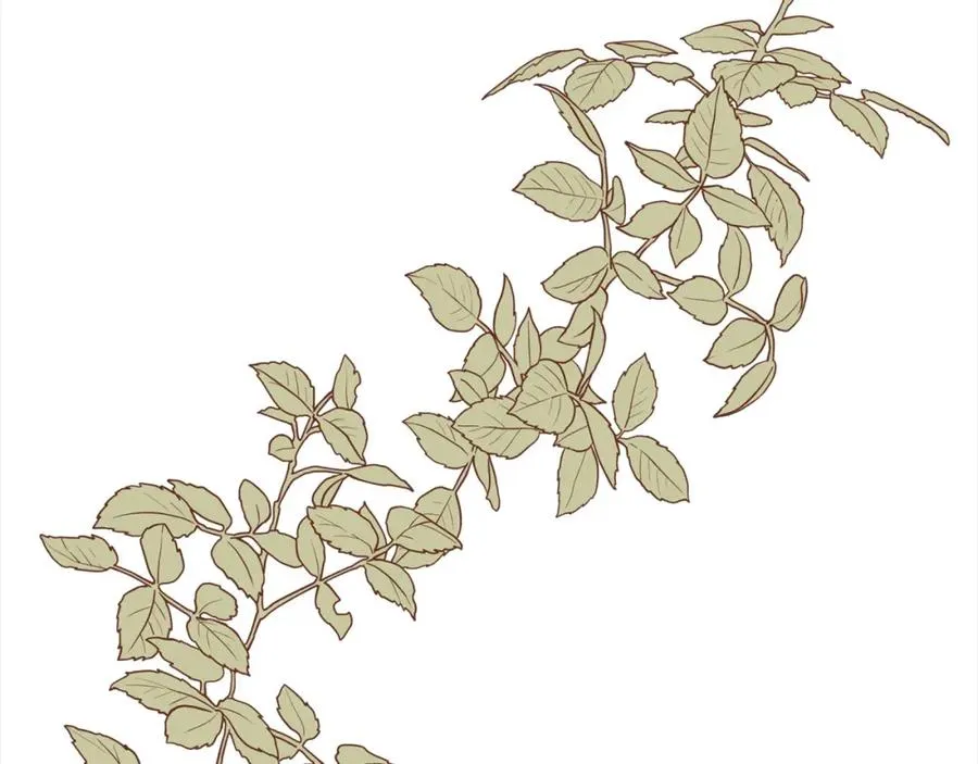 第52话 财商过人的老婆 第176页