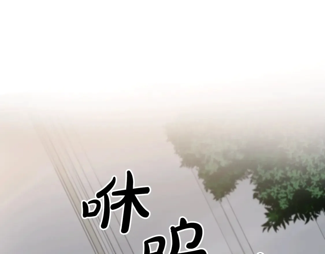 第34话 从B区来的强者 第5页