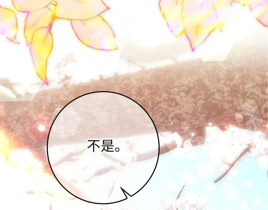 第15话 真实身份 第12页