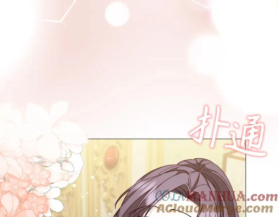 第26话 精灵石 第17页
