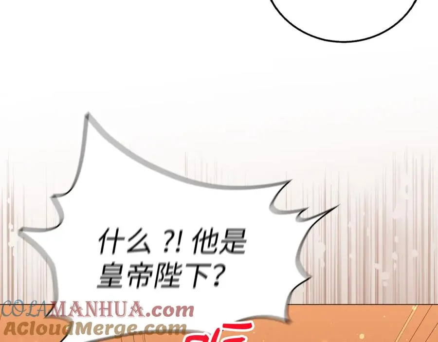 第26话 精灵石 第117页