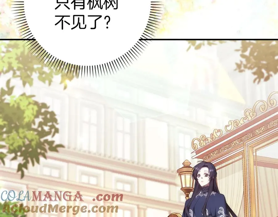 第77话 重回公爵府 第165页