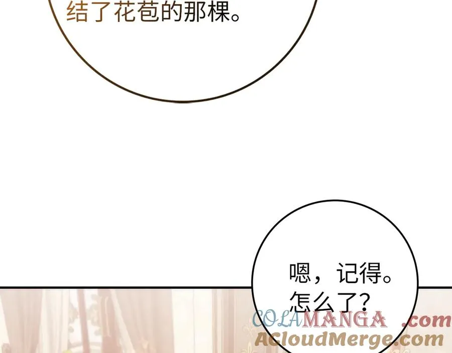 第102话 由你来做我的皇后 第77页
