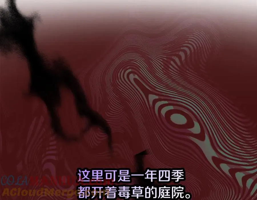 第13话 初到卡尔提亚 第81页