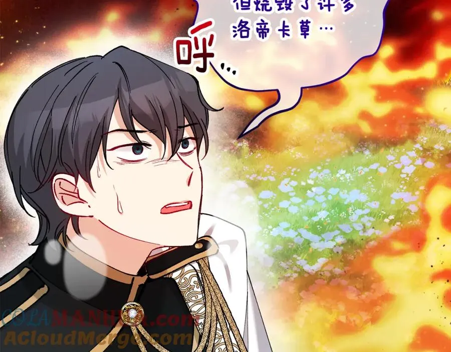 第34话 泽尔突然烧伤 第41页