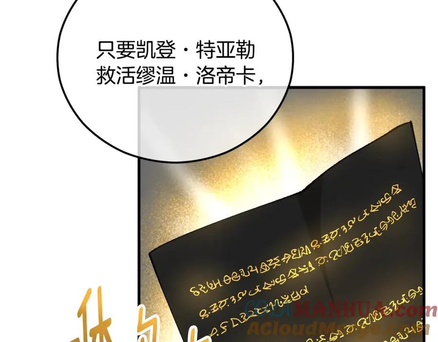 第38话 与特亚勒签约 第161页