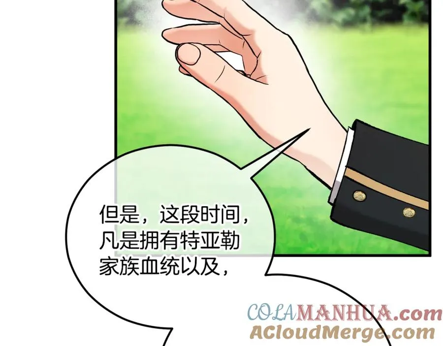 第41话 下达处分 第165页