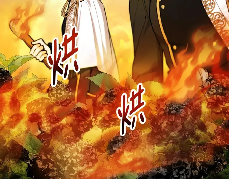 第42话 火烧特亚勒 第2页