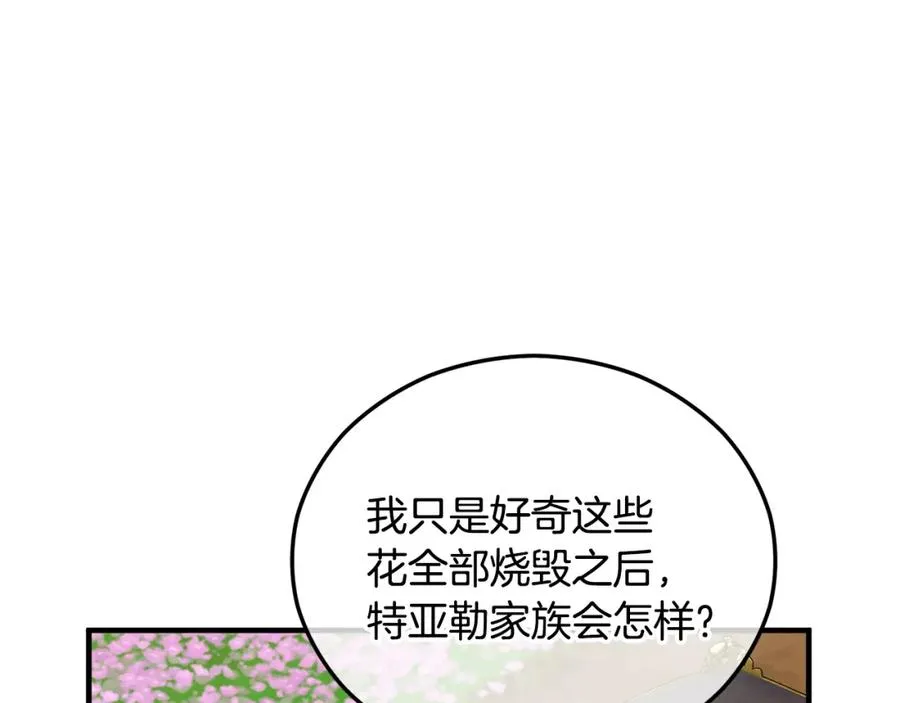 第42话 火烧特亚勒 第11页