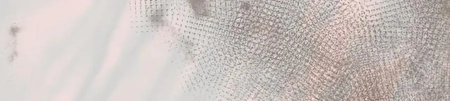 第一季完结篇 特亚勒被处死 第155页