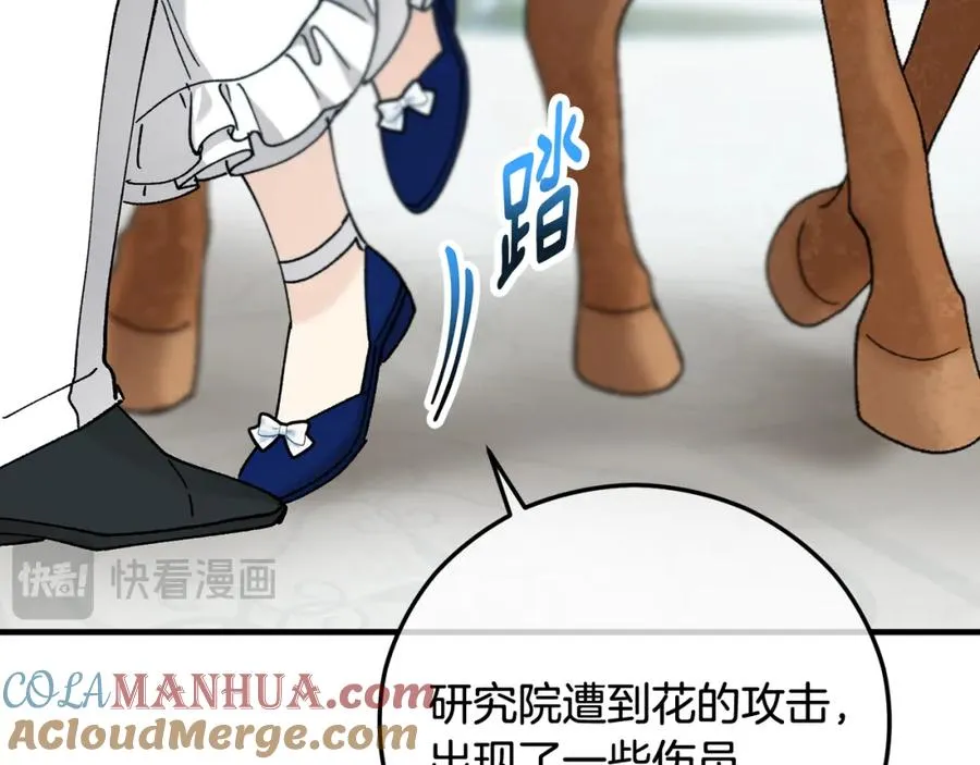 第54话 花儿攻击研究院 第165页