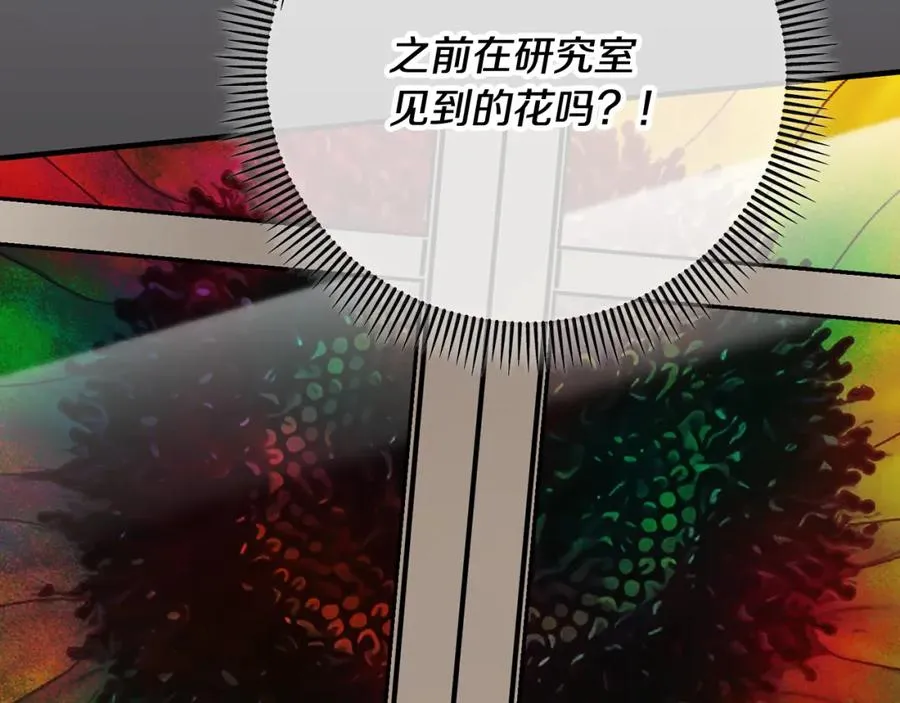 第56话 中央城被花袭击 第58页