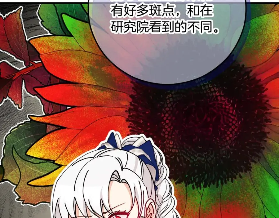 第56话 中央城被花袭击 第79页