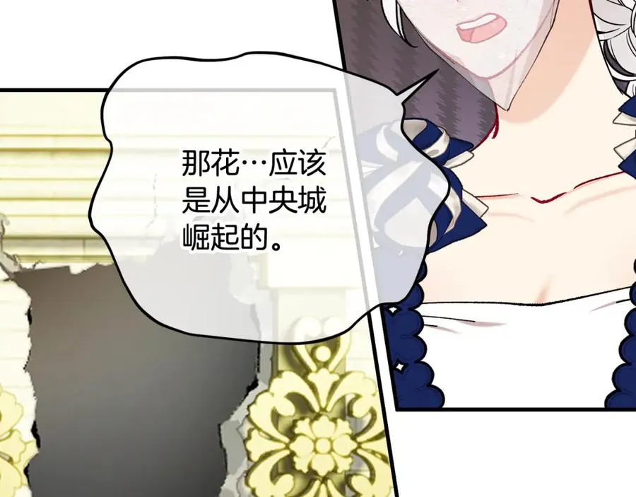 第56话 中央城被花袭击 第102页