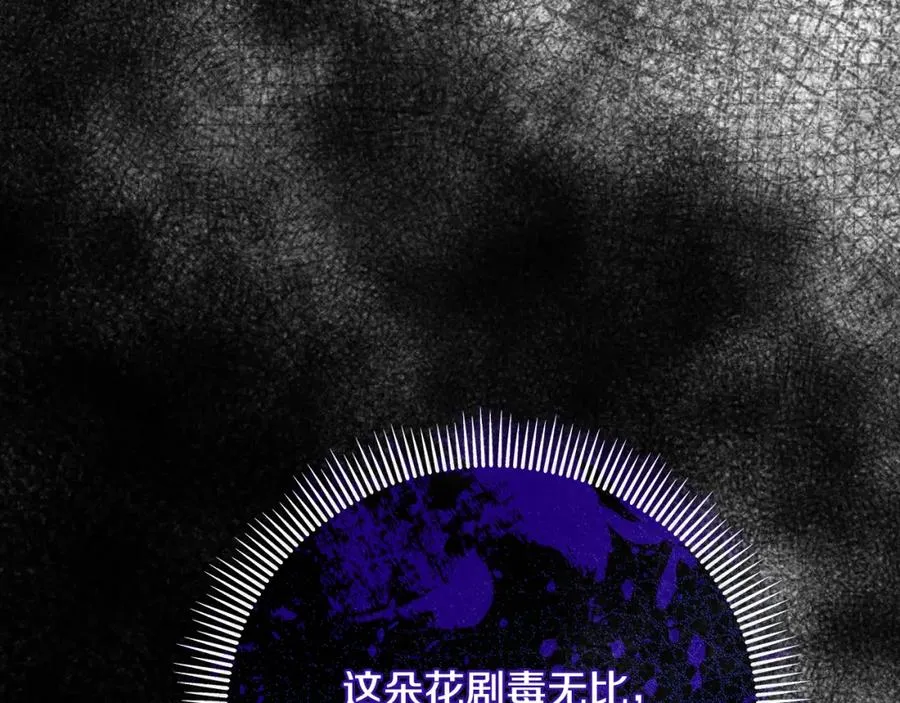 第56话 中央城被花袭击 第146页